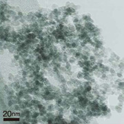 酸化亜鉛ナノ粒子