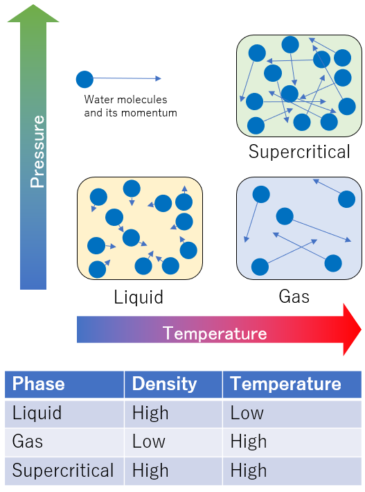 Dynamics of water molecules